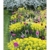 Gartenträume 2021 - Bild-Kalender 42x56 cm - Gärten und Parks - Landschaftskalender - Wand-Kalender - Alpha Edition - 3