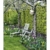 Gartenträume 2021 - Bild-Kalender 42x56 cm - Gärten und Parks - Landschaftskalender - Wand-Kalender - Alpha Edition - 6