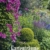Gartenträume 2021 - Bild-Kalender 42x56 cm - Gärten und Parks - Landschaftskalender - Wand-Kalender - Alpha Edition - 1