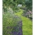 Gartenträume 2021 - Bild-Kalender 42x56 cm - Gärten und Parks - Landschaftskalender - Wand-Kalender - Alpha Edition - 7