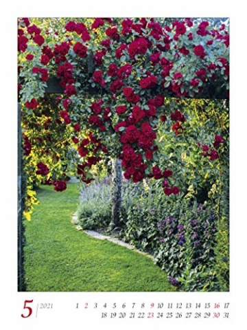 Gartenträume 2021 - Bild-Kalender 42x56 cm - Gärten und Parks - Landschaftskalender - Wand-Kalender - Alpha Edition - 8