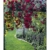 Gartenträume 2021 - Bild-Kalender 42x56 cm - Gärten und Parks - Landschaftskalender - Wand-Kalender - Alpha Edition - 8