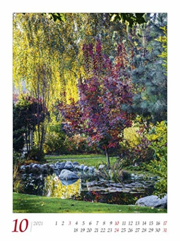 Gartenträume 2021 - Bild-Kalender 42x56 cm - Gärten und Parks - Landschaftskalender - Wand-Kalender - Alpha Edition - 10