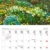 Gartenträume 2021: Broschürenkalender mit Ferienterminen. Landleben und Gärten. 30 x 30 cm - Wandkalender - 3