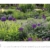 Gartenträume 2021: Großer Wandkalender. Foto-Kunstkalender zum Thema Gärten. PhotoArt Kalender im Querformat. 55 x 45,5 cm - 3