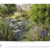 Gartenträume 2021: Großer Wandkalender. Foto-Kunstkalender zum Thema Gärten. PhotoArt Kalender im Querformat. 55 x 45,5 cm - 5