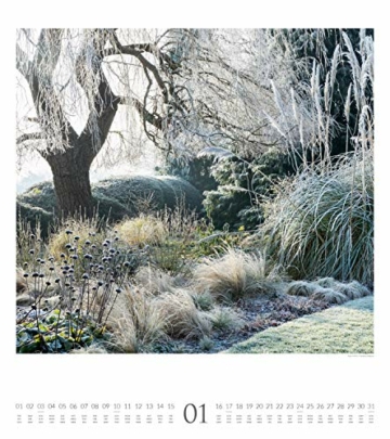 Paradiesische Gärten Kalender 2021, Wandkalender im Hochformat (48x54 cm) - Gartenkalender - 5