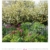Paradiesische Gärten Kalender 2021, Wandkalender im Hochformat (48x54 cm) - Gartenkalender - 6