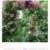 Paradiesische Gärten Kalender 2021, Wandkalender im Hochformat (48x54 cm) - Gartenkalender - 9