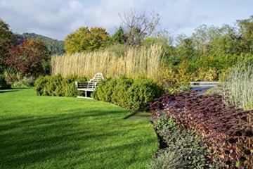 Sichtschutz und Raumteiler im Garten (Garten- und Ideenbücher BJVV)