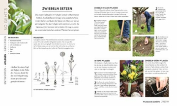 So geht Gartengestaltung: Kreative Ideen und praktische Anleitungen