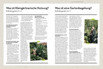 Abenteuer Garten: Mein erstes Jahr im Schrebergarten