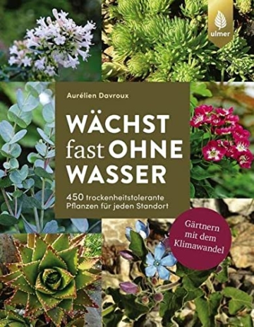 Wächst fast ohne Wasser: 450 trockenheitstolerante Pflanzen für jeden Standort. Gärtnern mit dem Klimawandel