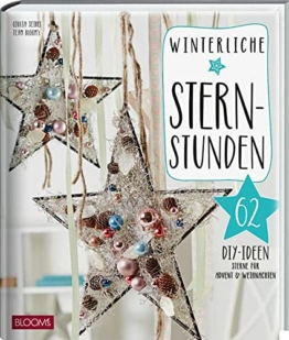 Winterliche Sternstunden: 62 DIY-Ideen: Sterne für Advent & Weihnachten (Weihnachts-DIY)
