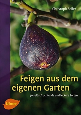 Feigen aus dem eigenen Garten: 30 selbstfruchtende und leckere Sorten